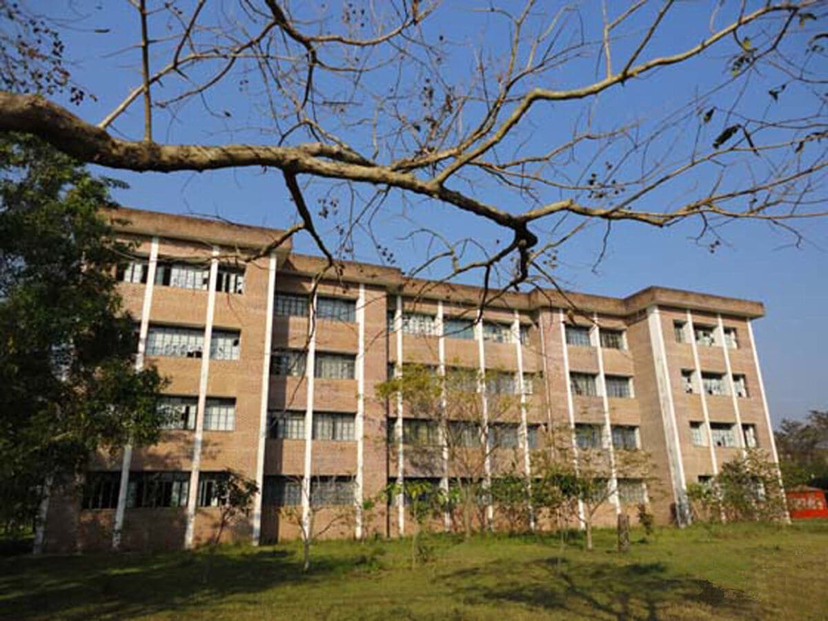 The B Building of SUST seen through the branches of a tree