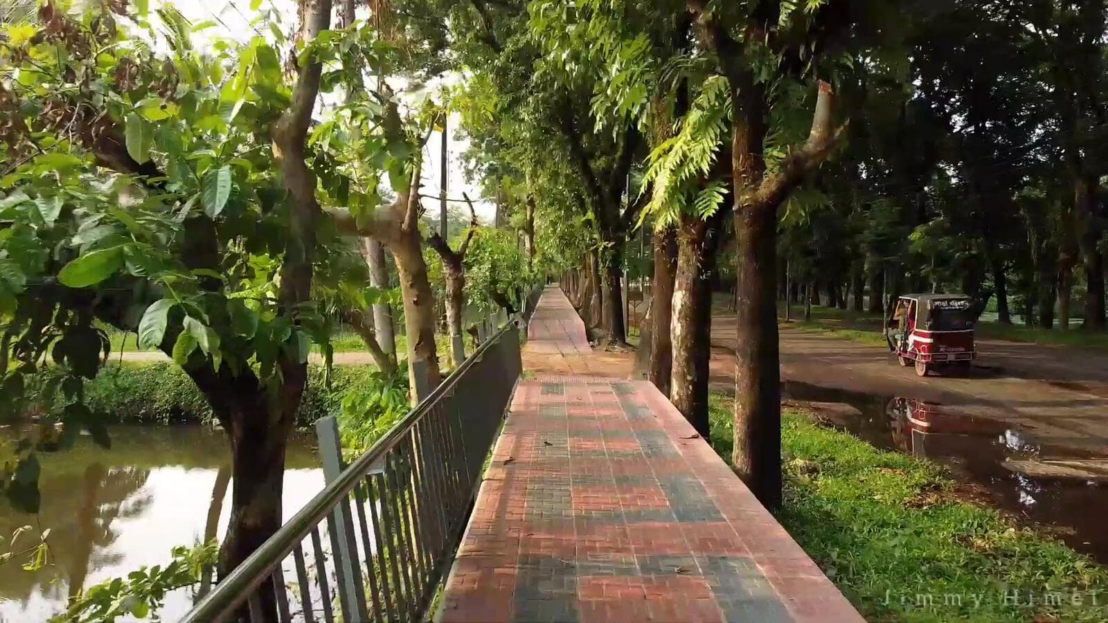 Driving along the tree-lined one-kilometre road at SUST